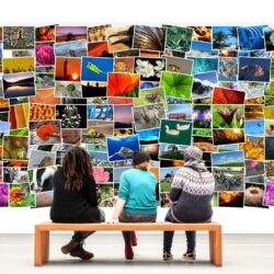 vernissage exposition