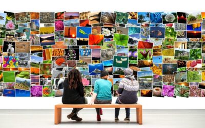 Vernissage de l’exposition La Défense des Côtes de la Baie de Bourgneuf au XVIIIème siècle
