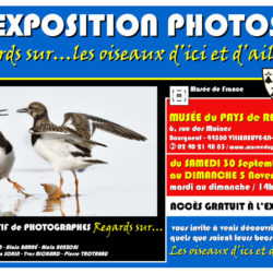 Affiche Expo photos REGARDS SUR... les oiseaux d'ici et d'ailleurs
