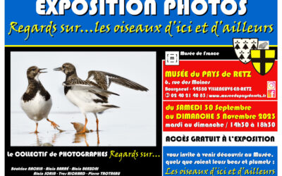 Retour sur le vernissage de l’expo photos « Regards sur Les Oiseaux d’ici et d’ailleurs »