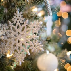 ouverture boutique de Noël