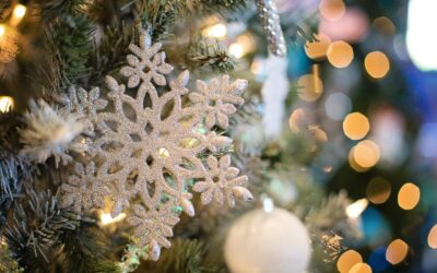 Ouverture exceptionnelle au public les 16 et 17 déc. 2023 : boutique de Noël