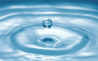 Vernissage de l’exposition : Regards sur… L’eau, source de vie et de plaisir